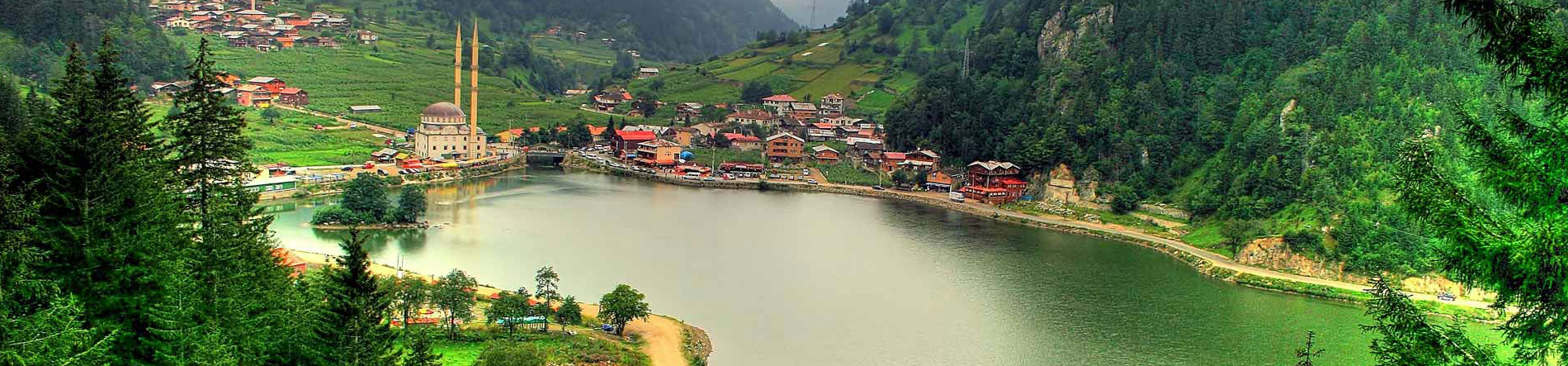 background-image