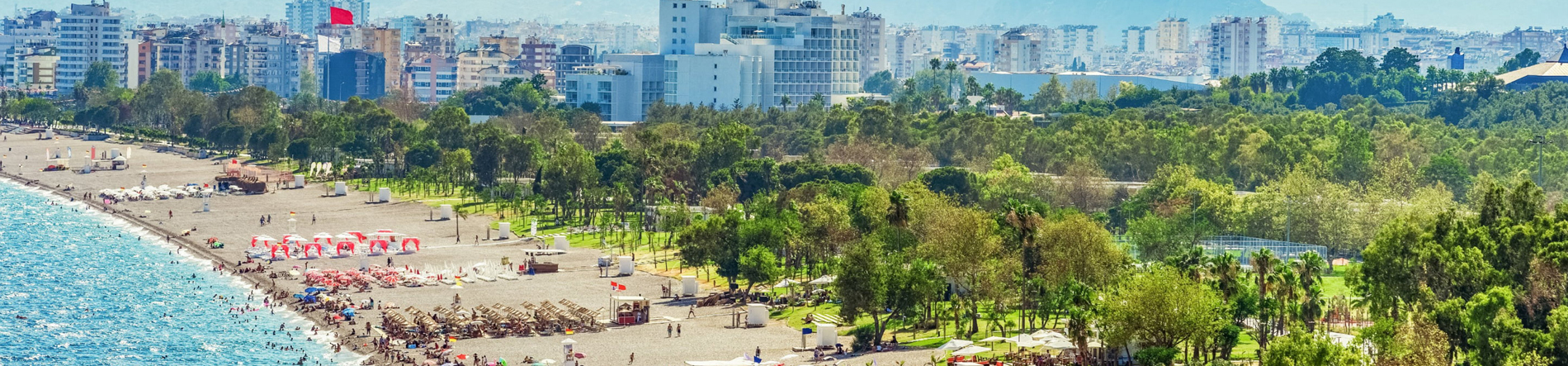 background-image